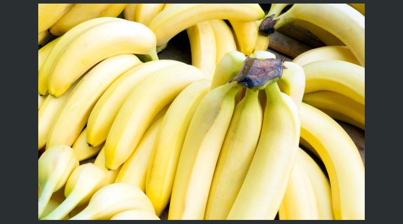 Emiten alerta preventiva por enfermedad del banano