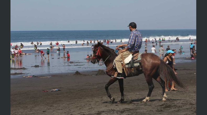 En la playa  El Majahual se pudo disfrutar de emocionantes paseos a caballo, lo cual fue un  complemento para la  sana diversión.Ericka Chávez