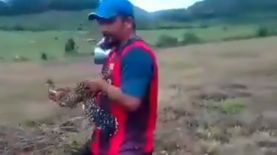 CEL despide a trabajadores del video en el que maltratan a un ave en San Miguel