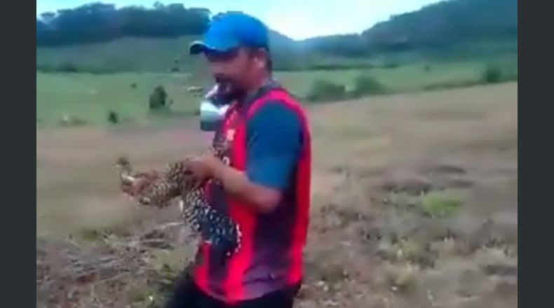 CEL despide a trabajadores del video en el que maltratan a un ave en San Miguel