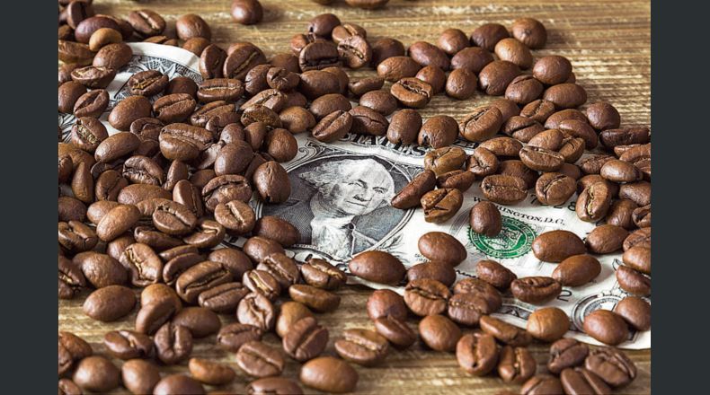 En junio,  las exportaciones de café de México y C.A. cayeron 4.6 % a 1.86 millones de sacos.