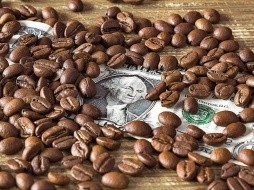 En junio,  las exportaciones de café de México y C.A. cayeron 4.6 % a 1.86 millones de sacos.