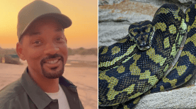 Una nueva especie de anaconda fue descubierta durante el rodaje de la serie “Pole to Pole with Will Smith”.