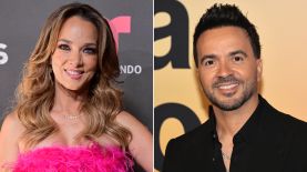 Aunque Adamari López y Luis Fonsi se divorciaron hace 15 años, su ruptura aún es tema de conversación pública.