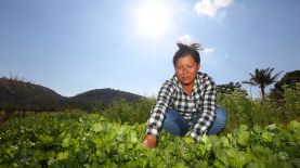 El uso del agua para la producción de alimentos subirá en las próximas décadas.