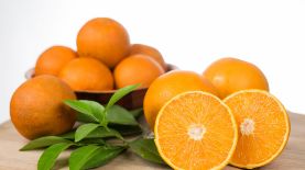 Una investigación de la Universidad de Florida (UF) reveló que el extracto de cáscara de naranja podría ser una herramienta crucial para mejorar la salud cardiovascular. EFE/UF/IFAS