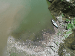 Unión. El río Acelhuate (izquierda) desemboca en  el Lempa, en el sector del puente Colima.