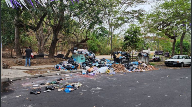 La recolección de la basura es una de las atribuciones dadas a las municipalidades.