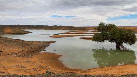 Las excepcionales lluvias que azotaron el pasado mes el Sáhara han resucitado un lago seco en Marruecos.