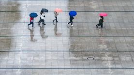 Se esperan lluvias y tormentas en la tarde. Foto: Pixabay.