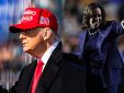 Donald Trump y Kamala Harris han hecho una gira de mítines por los estados clave. Fotos: EFE..