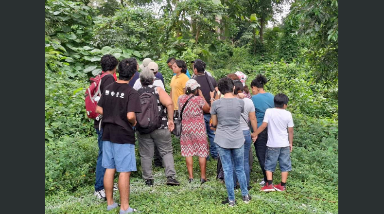 Cortesía. La deforestación en la finca estaría vinculada a  la construcción de una  planta fotovoltaica para la minería de Bitcoin