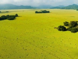 Vista el embalse del Cerrón Grande en el que el MARN y  CEL trabajan en la eliminación de “Pistia stratiotes” y donde también el LABTOX-UES encontró cianobacterias. / FOTO CORTESÍA MARN.