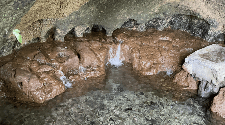 FOTO LPG/Maynor Lovo. Lo refrescante del agua y amplia vegetación son los principales atractivos de esta poza, según dijeron los pobladores y turistas.