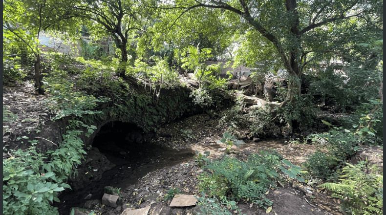 FOTO LPG/Maynor Lovo. Lo refrescante del agua y amplia vegetación son los principales atractivos de esta poza, según dijeron los pobladores y turistas.