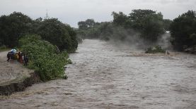 Fotografía que muestra la crecida de un río por el paso de la tormenta Sara, este sábado, en el sector de la aldea Tikamaya, en la ciudad de San Pedro Sula (Honduras). Al menos una persona muerta, más de 40.000 afectadas y 143 comunidades incomunicadas ha dejado la tormenta tropical Sara, que desde el jueves azota con mayor incidencia toda la región caribeña de Honduras, informaron este sábado las autoridades de protección. EFE/ Gustavo Amador