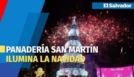 San Martín dio inicio a la Navidad con su gigantesco árbol navideño