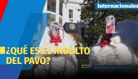 El perdón del pavo: ¿por qué el presidente de EUA concede este tradicional indulto?