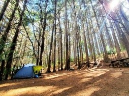 Descubre estas áreas naturales protegidas en El Salvador. Foto: El Salvador Travels