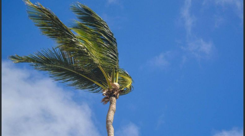 Las ráfagas de viento más fuertes se han reportado este sábado en Ishuatán, Sonsonate, según los reportes del MARN.