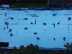 Pista de hielo instalada en el Centro Histórico. Foto: LPG/ Luis Martínez