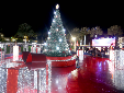 La magia de la Navidad brilla.  El impresionante árbol navideño de Davivienda ilumina la plaza europea del redondel Fuentes Beethoven, invitando a las familias a disfrutar de un ambiente lleno de luz y esperanza. LPG/Dennis Argueta.