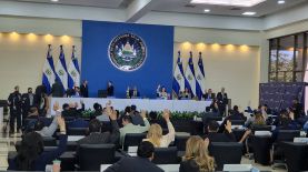 Asamblea avaló la reforma constitucional para eliminar la deuda política. Foto: Archivo.