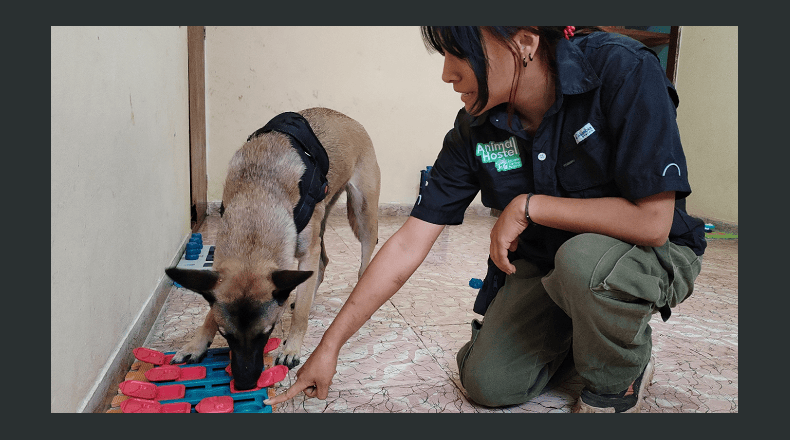 Foto LPG/Óscar Reyes. Los espacios de este hotel fueron adecuados para ofrecer una estadía placentera a los animales. El cuido y la educación son fundamentales.