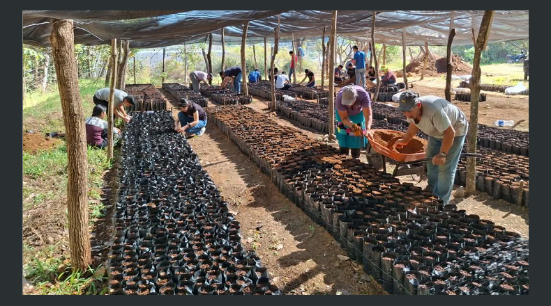 Foto LPG/Cortesía.  Junto a centros escolares realizarán campañas de reforestación en la zona hídrica del distrito de Osicala, dijeron.