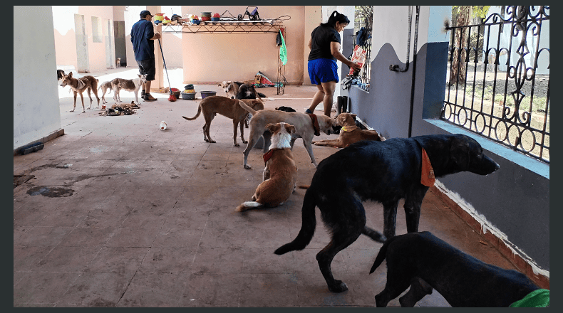 LPG/Óscar Reyes. El refugio Orgullo Metizo funciona en una antigua unidad de salud, en Chalchuapa.