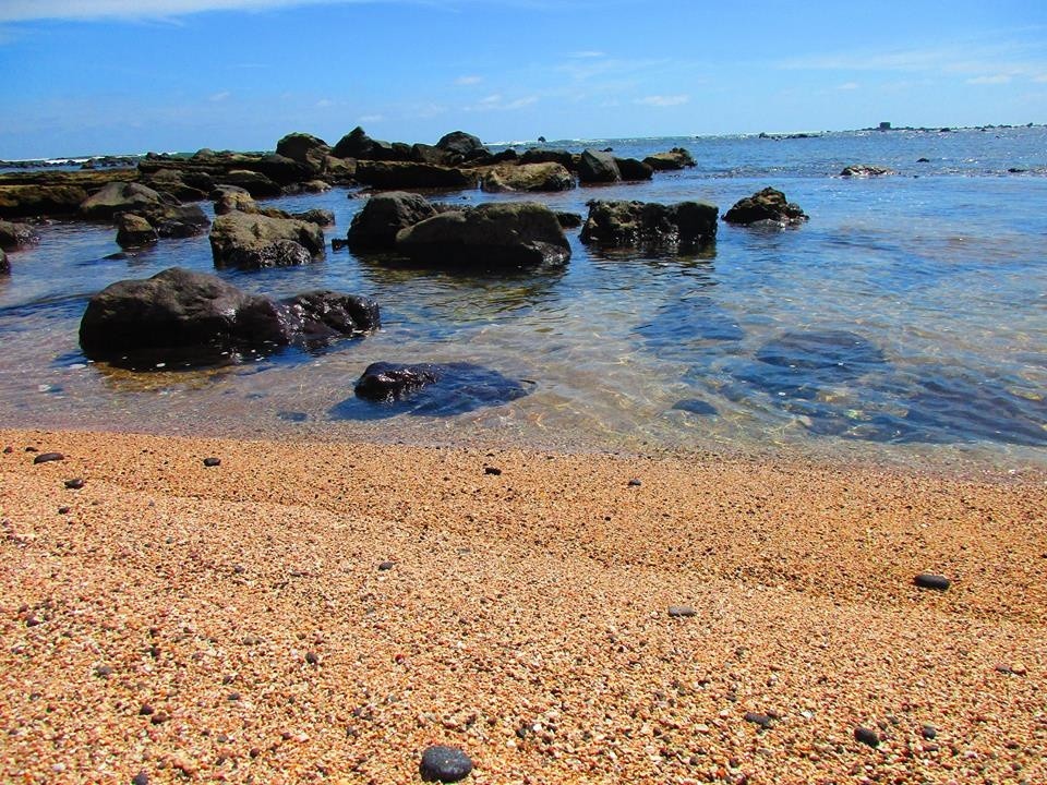 Playa Los Cóbanos. Foto: Áreas Naturales Protegidas. 